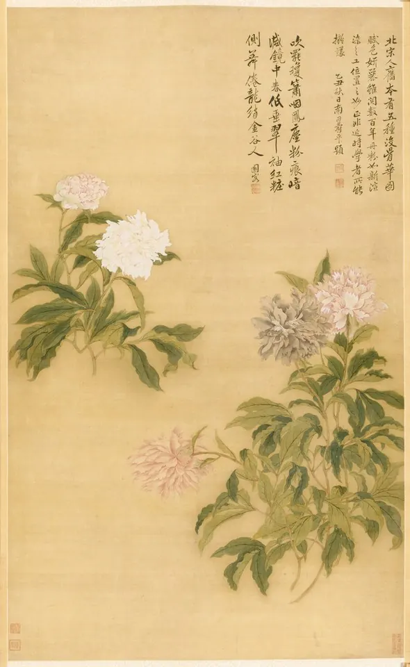 Herbaceous Peony — Yun Shouping