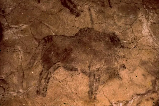 Altamira bison — Unknown artist